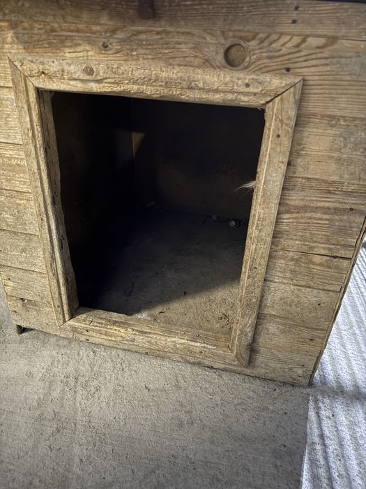 Бутка для собак 5000 тг состояние