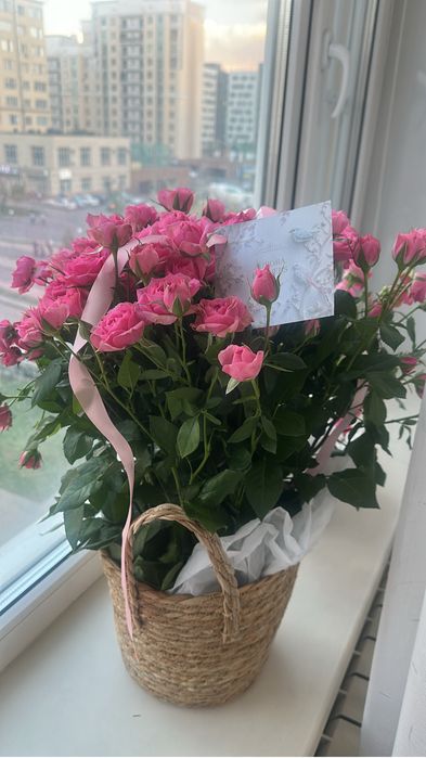 Продам цветы срочно
