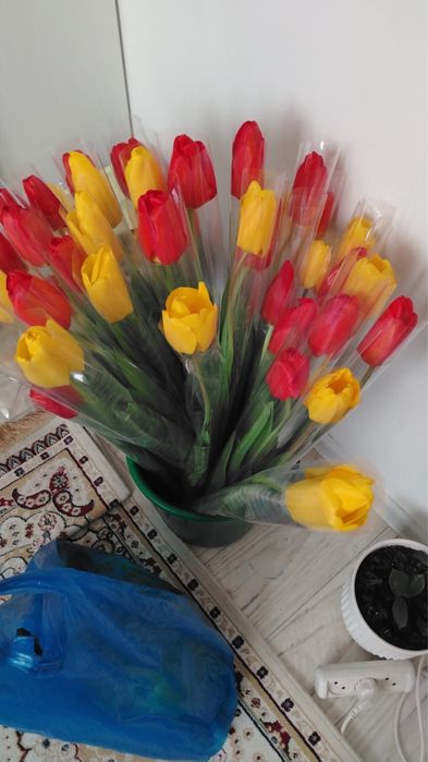 Продам цветы,тюлпаны свежие по 400тг