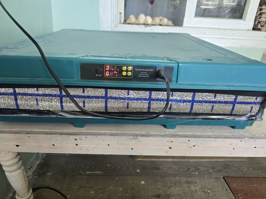Inkubator 130 ta tovuq tuximi sigʻadi