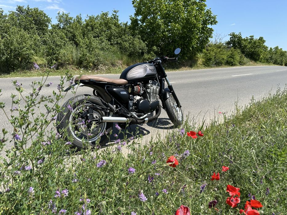 Triumph cafe racer