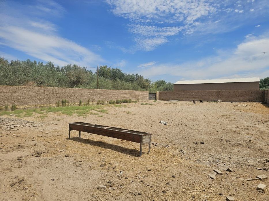 Мол боқиш учун 200 бош мола мўлжалланган ферма ижара