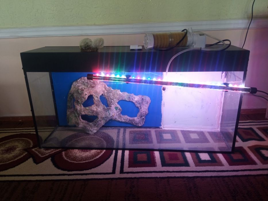 Xajmi:Akvarium 80 litr