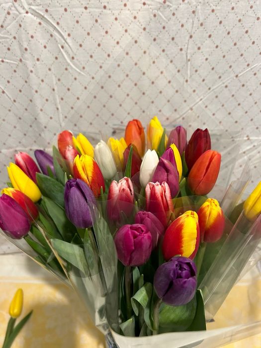 Тюлпаны Город Павлодар Аксу