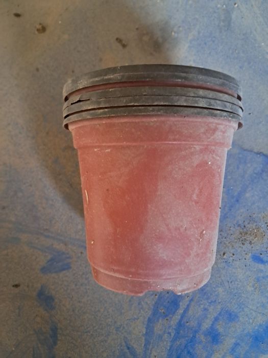 Стаканчики для рассады