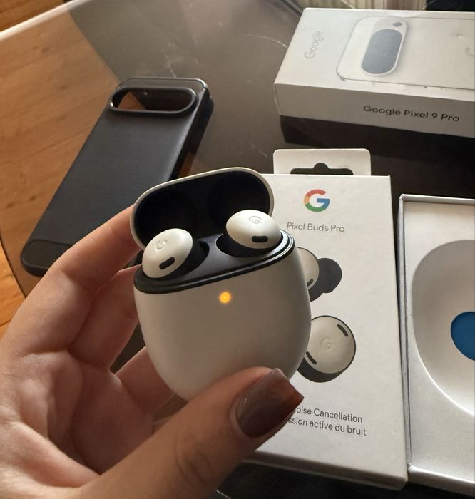 Google Pixel 9 Pro 256GB