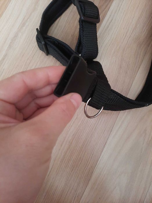 Ham hamuri catel caine talie medie mare