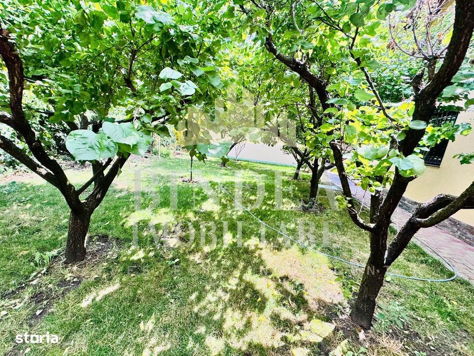 Proprietate individuala premium la intrare in Pischia