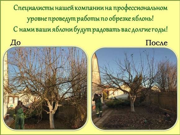 Обреска жасаймын