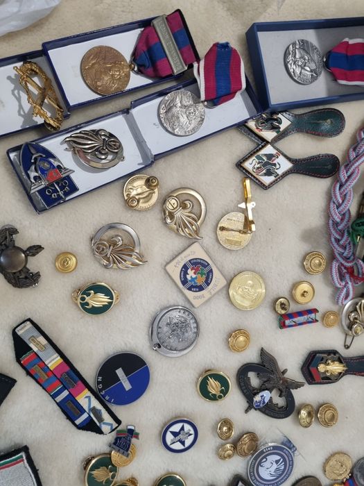 colectie insigne medalii franta legion etrangere ,legiunea straina