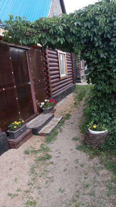 Сдаются домики из сруба
