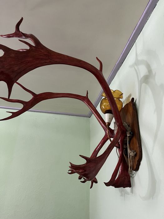 Сувенир,Рога,Оленя