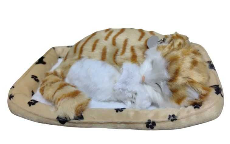 Pisicuta din plus,care doarme pe pernuta