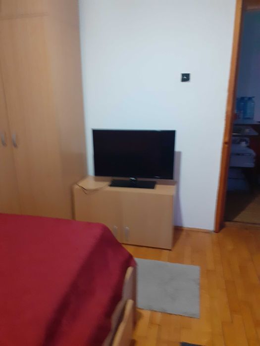 Informatician caut coleg de apartament