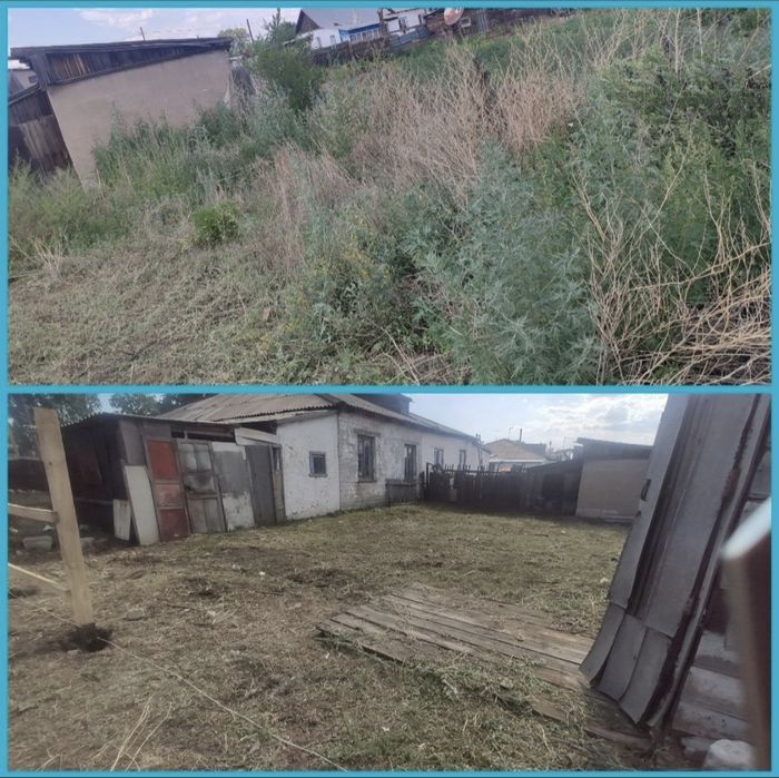 Покос травы, обрезка деревьев