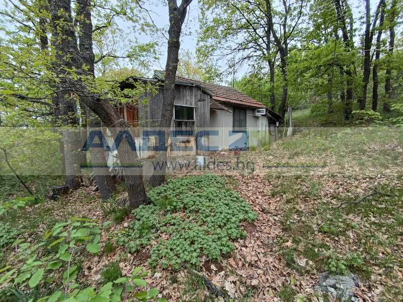 Продава се Парцел в с. Царичина, Област София-област - 1003 кв.м за 30 €/кв.м - Снимка #4