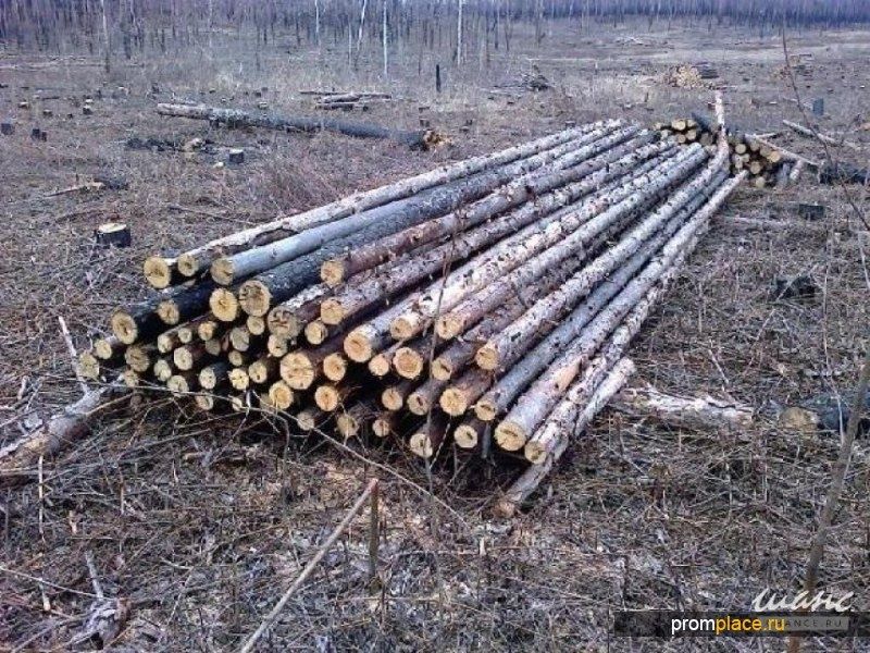 Жерди на заказ есть доставка от 10см до 15см