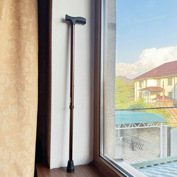 Трость новый