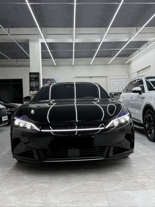 Byd han 3.9 2023