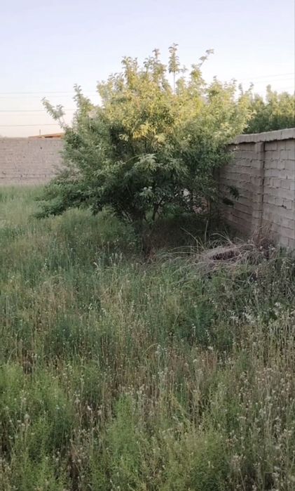 Участик зем карши ш Чоргумбаз 4,5 соток