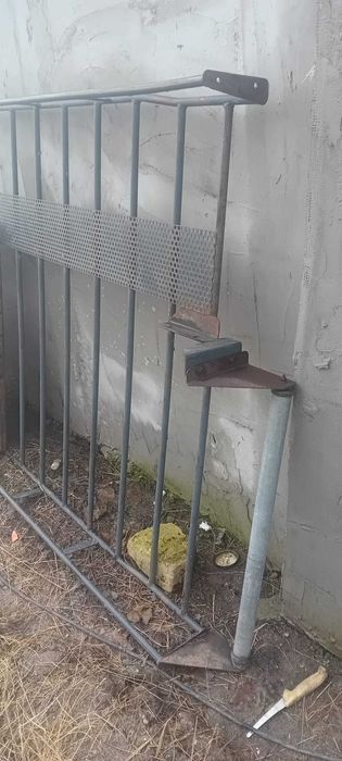 Vand porpagaj de citroen