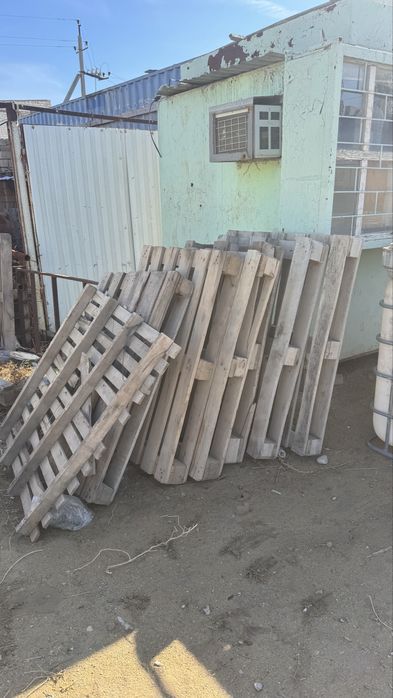 поддоны буу.