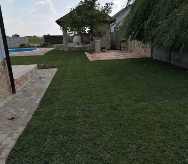 Gazonul Rulou Premium - Perfect pentru Casa Ta!