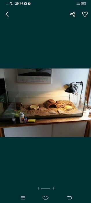 Аквариумы и террариумы