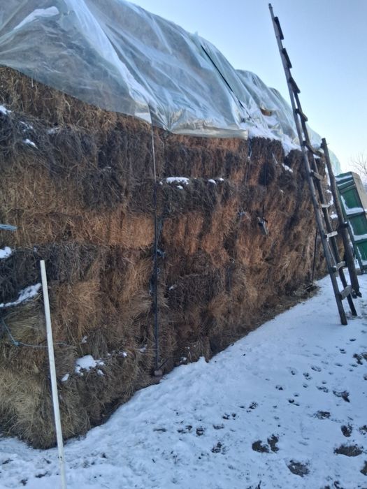 Vând baloți de fân/paie