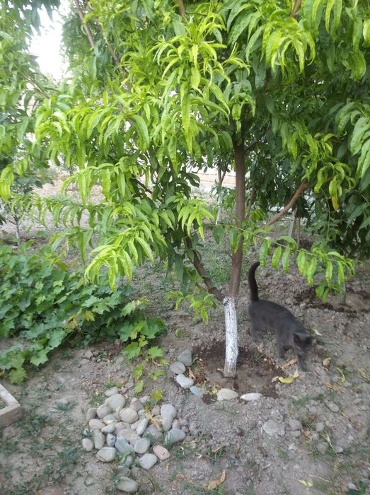 Продаётся Участок!!!