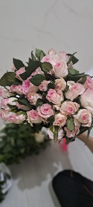 Цветы, гүлдер розы