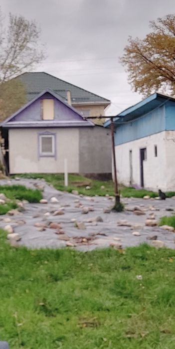 Продам срочно дом