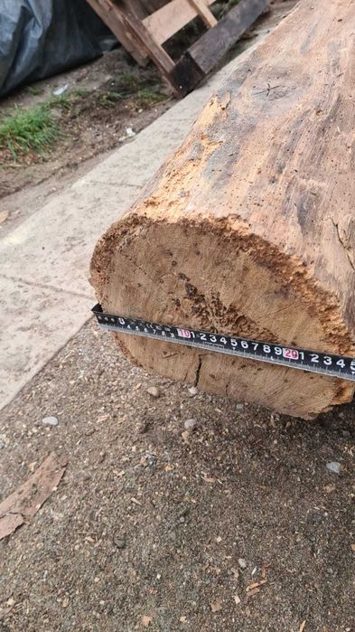 Grindă stejar 150 de ani