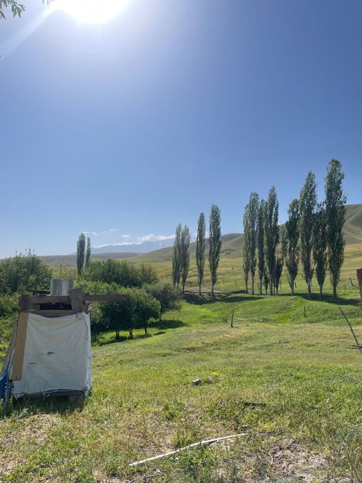 Фазенда в Акыртобе