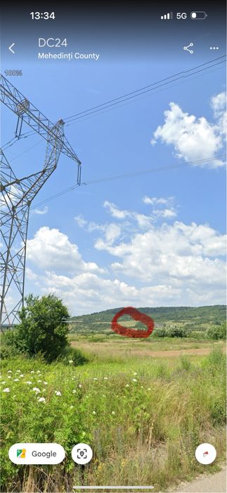 48 Hectare Prunisor Mehedintii