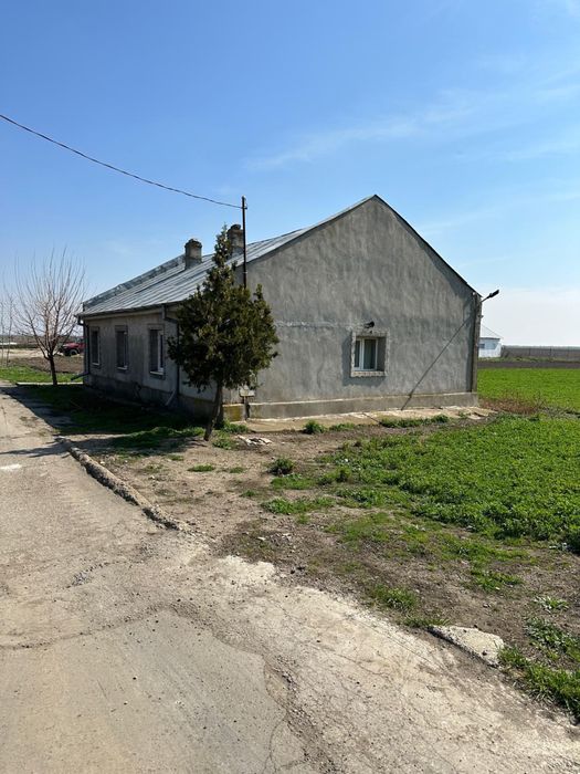 Inchiriez hale depozitare sau teren pt peco la 20 km de Braila