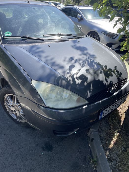 Vand ford focus wolf edition