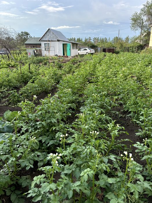 Продам дачу Сосновый бор