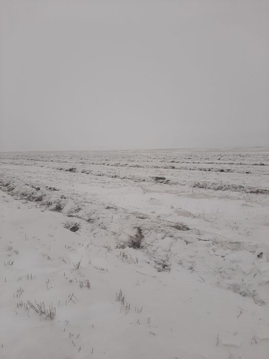 Снегопах мтз валкаобразаватель