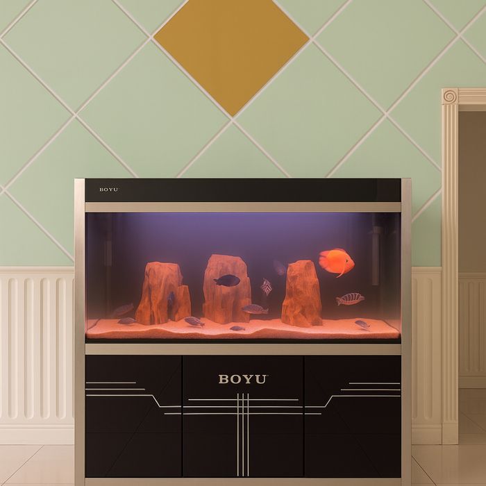 Большой готовый аквариум