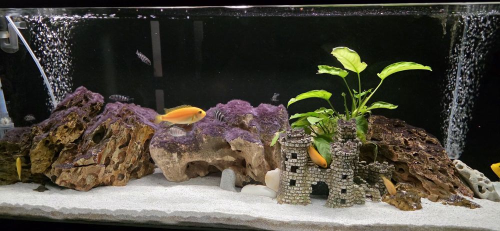 Pompa aer Eheim 400 , acvariu