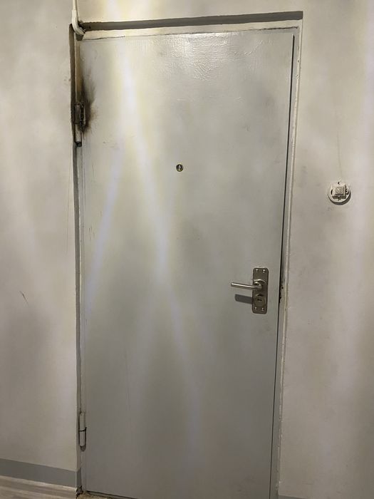 Медалический дверь