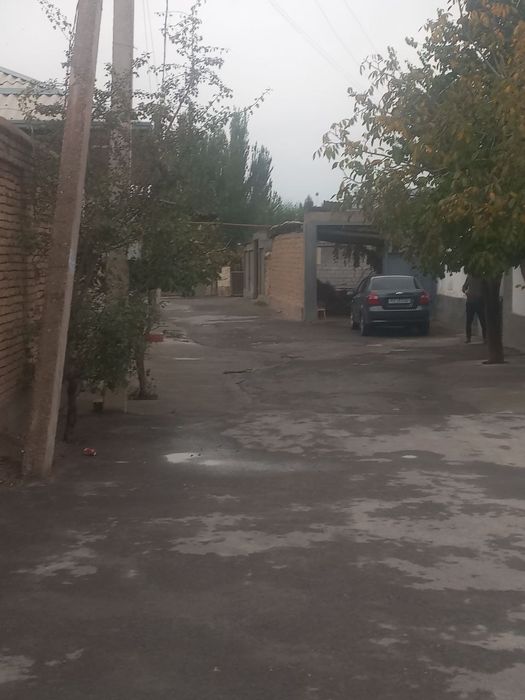 Ajoyib yer 2,2 sotik