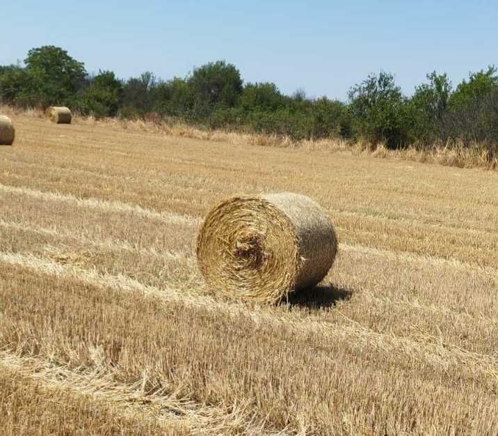 Ролонни бали пшенична слама