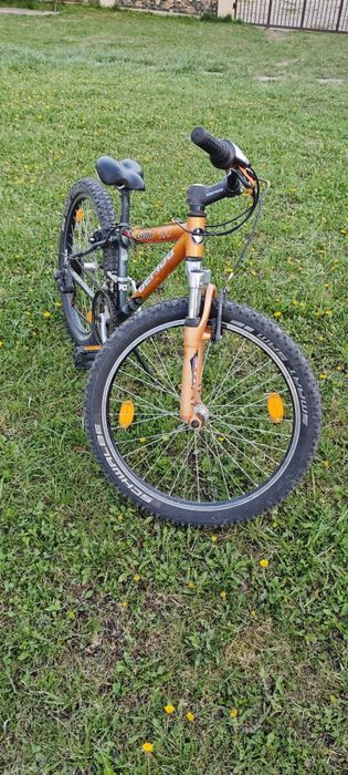 Vand bicicleta Gepida 24"