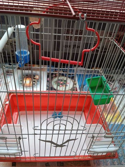 Продается клетка для птиц