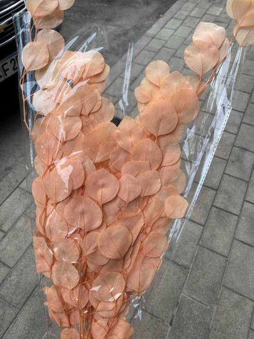 Стабилизированные растения - Декор премиум класса