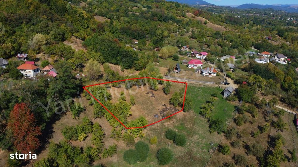 Teren 2264 mp de vânzare în comuna Brăduleț,  județ Argeș.