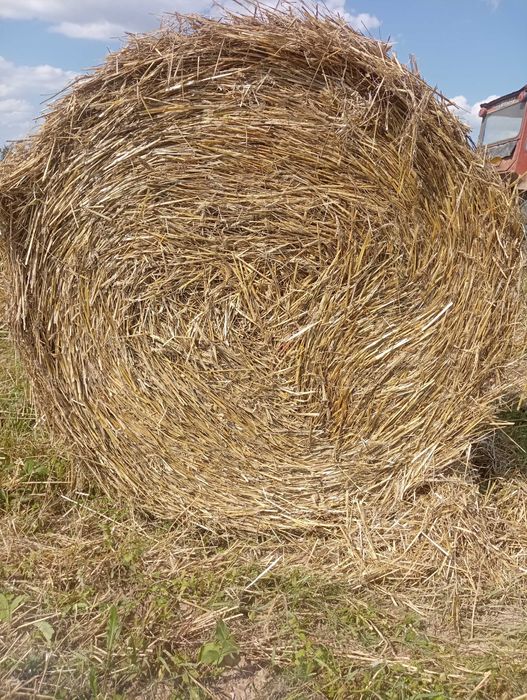Vând baloți de paie
