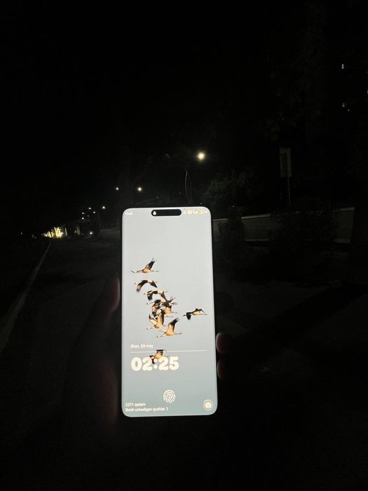 HONOR X9C 12/256